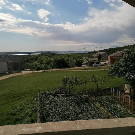 Slavica * Radovin
